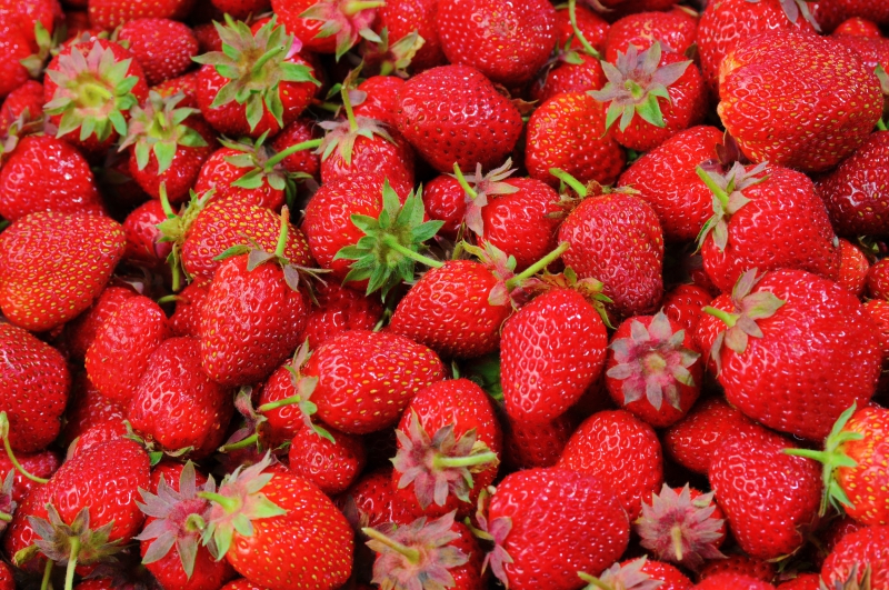 primeur-BARGEME-min_strawberries-528791